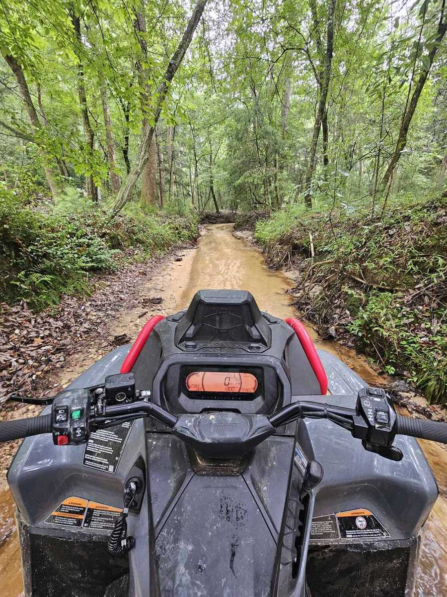 Riding POV on the trail